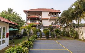 The Elegant Homes